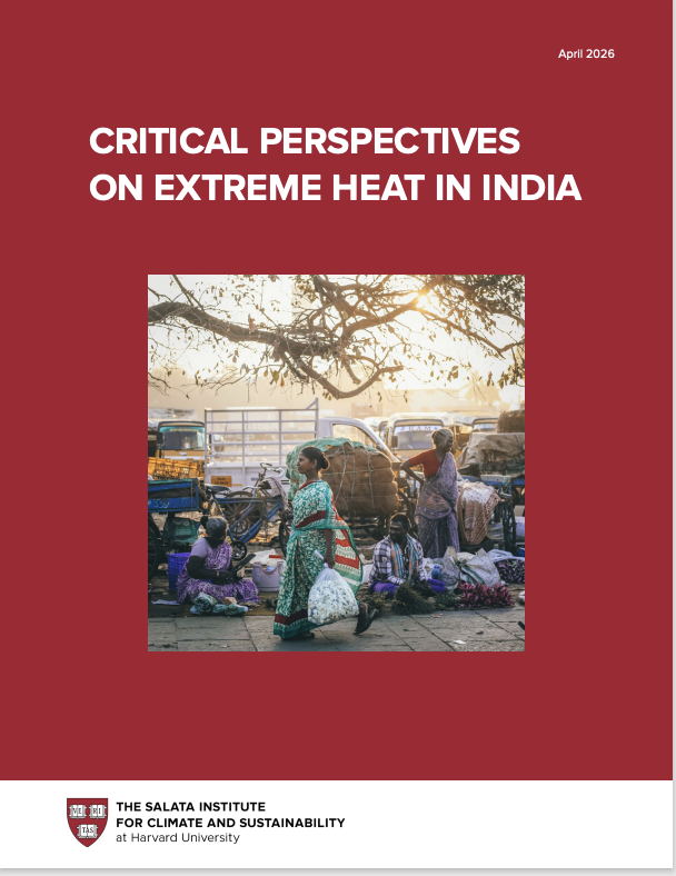 Critical Perspectives Report Cover